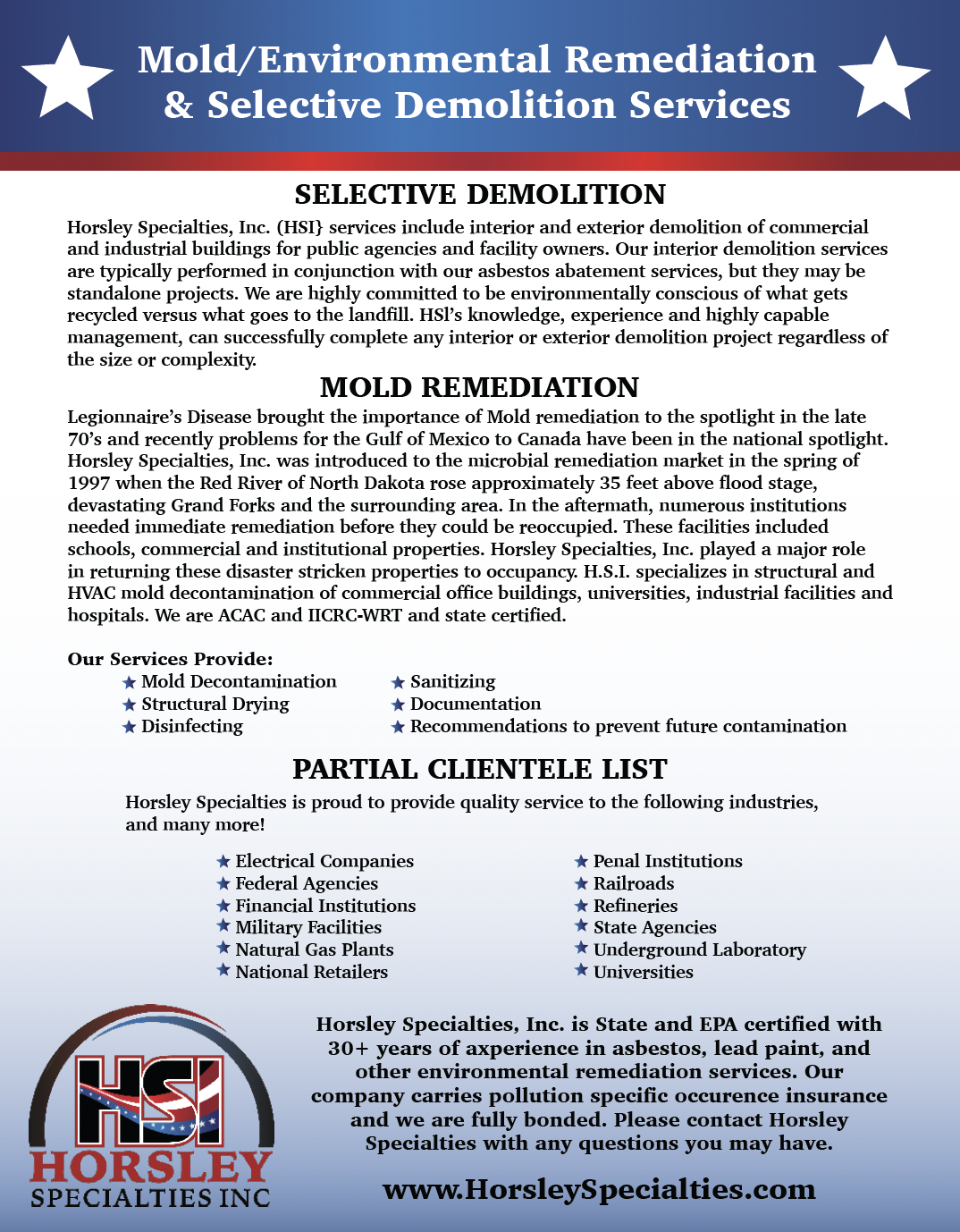 mold/environmental remediation and selective demolition services flyer