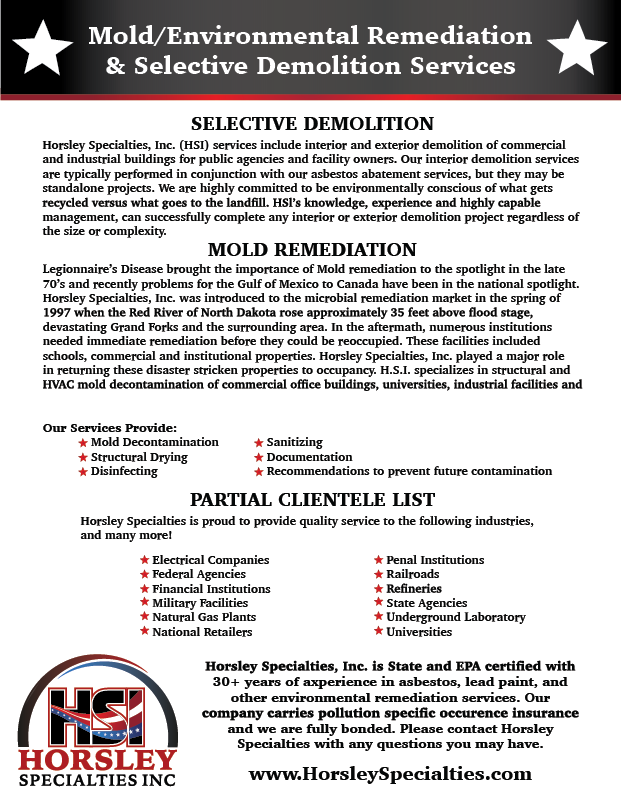 mold/environmental remediation and selective demolition services flyer