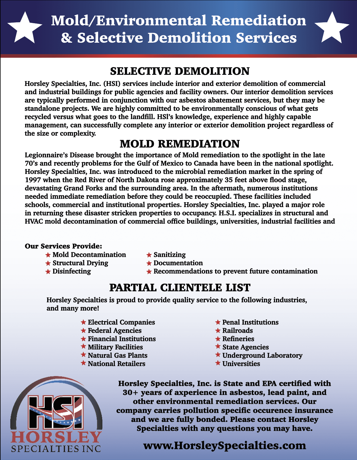 mold/environmental remediation and selective demolition services flyer